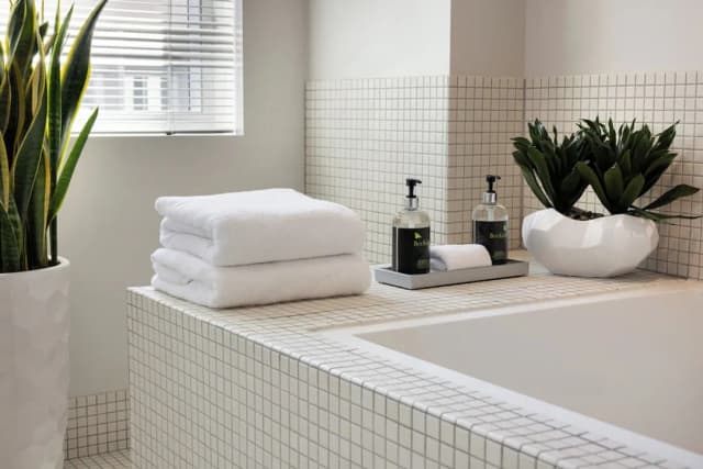 德爾菲飯店-套房, 身障無障礙空間 (Delphi Penthouse)-6