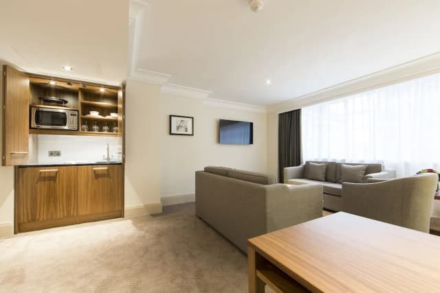 倫敦薊花大理石拱門-高級開放式客房, 1 張特大雙人床和 1 張沙發床 (Apartment)-4