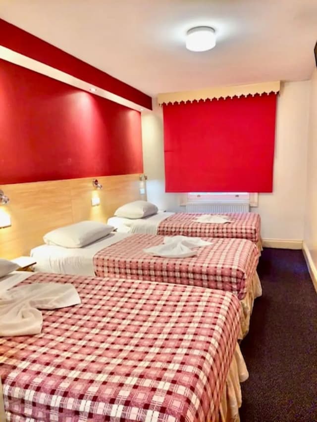 卡爾頓酒店-家庭客房 (Large)-5