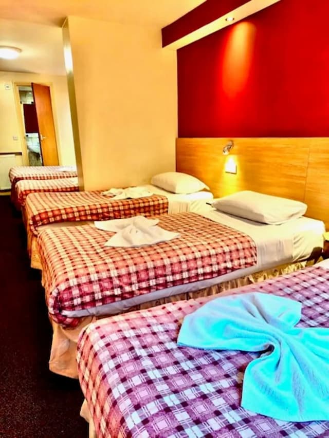 卡爾頓酒店-家庭客房 (Large)-8