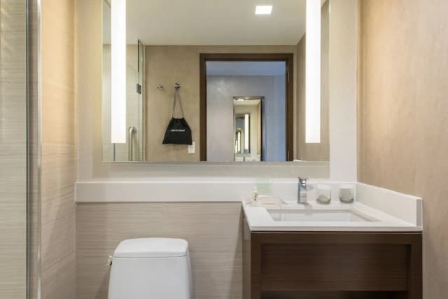 Holiday Inn Brooklyn Downtown by IHG-Standard Room, 1 King Bed (Communications, Mobility, Access Tub)-7