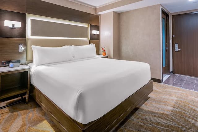 ホリデイ イン ブルックリン ダウンタウン バイ IHG-スイート キングベッド 1 台-1