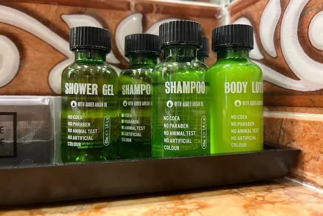 호텔 라 플레이스-스탠다드 싱글룸, 앙스위트-5