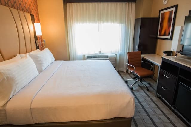 紐約市 - 時代廣場假日飯店 - IHG 旗下飯店-標準客房, 1 張特大雙人床-2