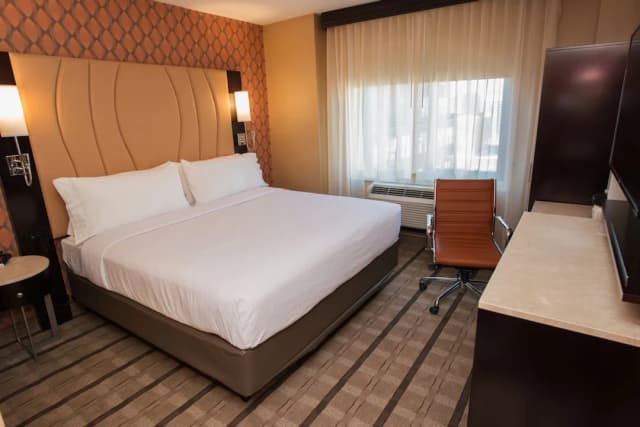 紐約市時代廣場假日酒店 (IHG 旗下酒店)-標準客房, 1 張特大雙人床, 無障礙 (Communications, Roll-In Shower)-3