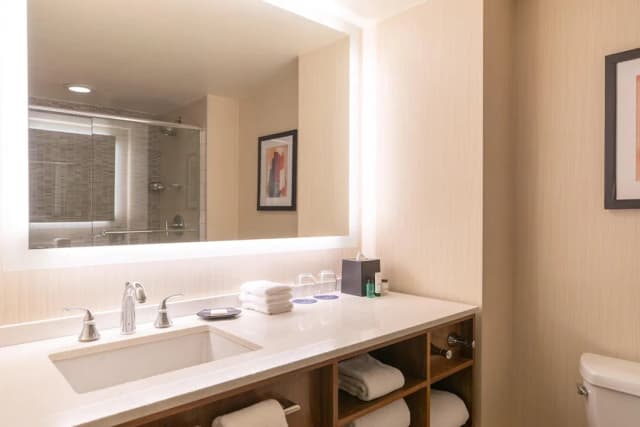 쉐라톤 그랜드 시카고 리버워크-룸, 킹사이즈침대 1개, 강 전망-12