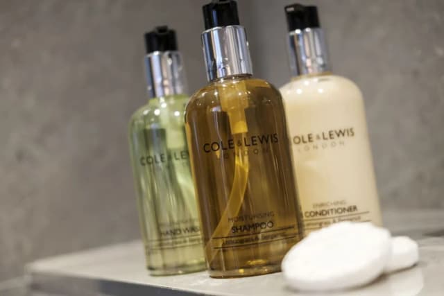 ザ フォックス & グース ホテル-スタンダード ダブルルーム-12