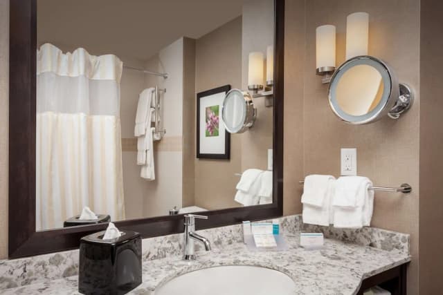 西雅圖市中心希爾頓花園飯店-客房, 1 張特大雙人床, 無障礙 (Luxury Bathroom - 3x3 Shower)-4