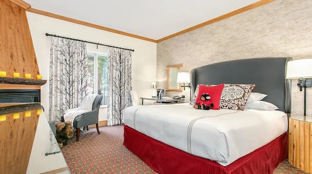 ザ エッジウォーター ホテル-スイート 1 ベッドルーム シティビュー-1