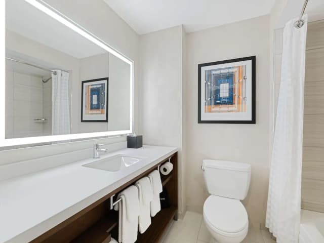 엠버시 스위트 바이 힐튼 시카고 다운타운 리버 노스-스위트, 시내 전망 (2 Rooms, 2 Double Bed & 1 Sofabeds)-9