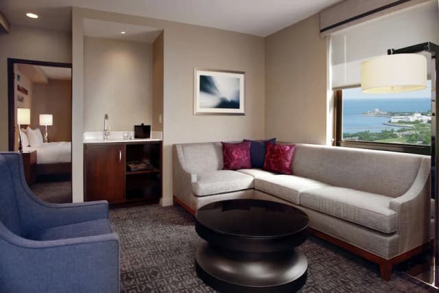 Hilton Chicago-Junior Suite, 1 King Bed-3