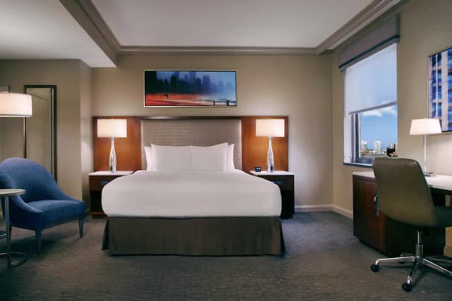 Hilton Chicago-Room, 1 King Bed, Accessible (3x3 Shower, Mobility & Hearing)-3
