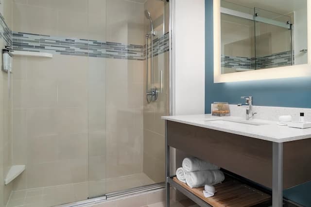 布魯克林逸衡飯店 - IHG 旗下飯店-標準客房-5