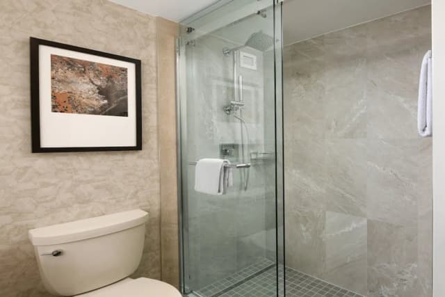 휴스턴 메리어트 메디컬 센터/뮤지엄 디스트릭트-룸, 더블침대 2개-5