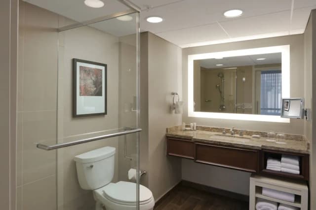 휴스턴 메리어트 메디컬 센터/뮤지엄 디스트릭트-룸, 킹사이즈침대 1개 (Mobility Accessible, Roll-In Shower)-5