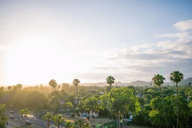 월도프 아스토리아 베벌리 힐스-디럭스룸, 킹사이즈침대 1개, 금연-6