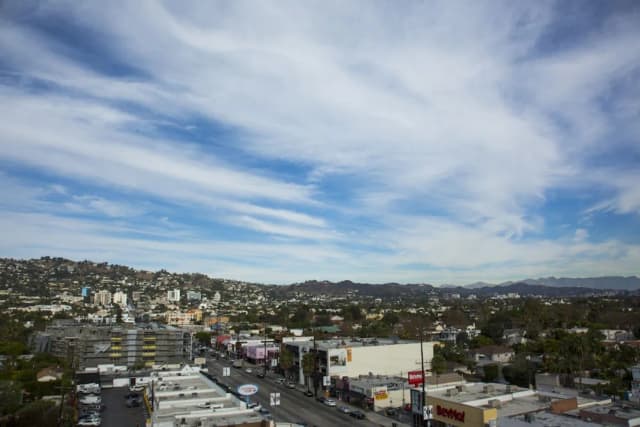 Sofitel LA at Beverly Hills-套房, 1 张特大床 (Hollywood Hills View)-2