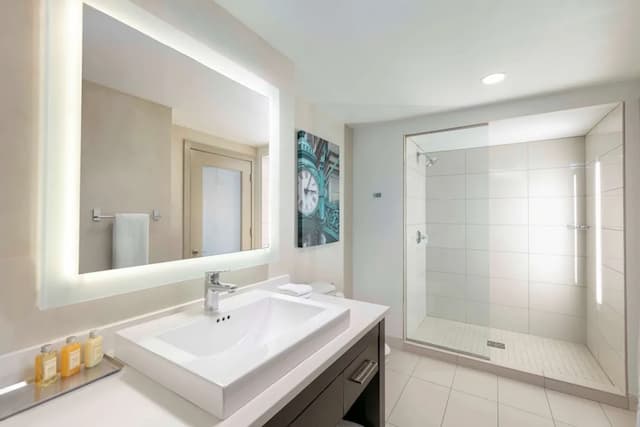 The Royal Sonesta Chicago Downtown-Superior Studio, 1 King Bed, Accessible (Columbus, Roll-In Shower)-6