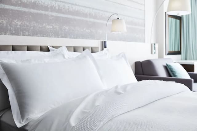 公園陽台飯店-極品客房, 無障礙-2