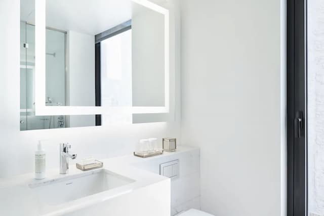 公園陽台飯店-極品客房 (High Floor)-4