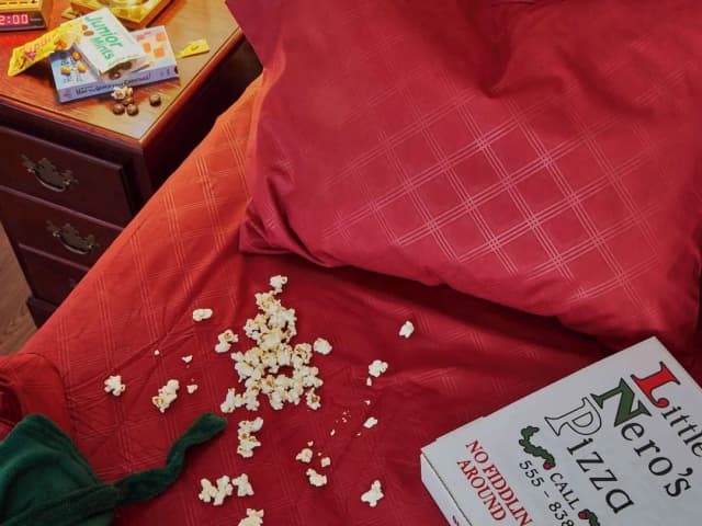 希爾頓伊凡斯頓研究生飯店-客房, 1 張加大雙人床 (Home Alone Room)-6