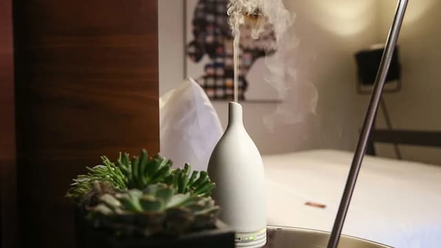 ホテル ゼッタ サンフランシスコ-ルーム キングベッド 1 台 (Well and Away)-3