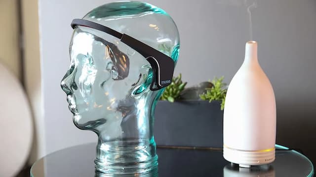 ホテル ゼッタ サンフランシスコ-ルーム キングベッド 1 台 (Well and Away)-2