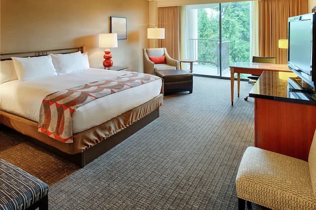 ダブルツリー バイ ヒルトン シアトル エアポート-プレミアム ルーム キングベッド 1 台 バルコニー マウンテンビュー-2