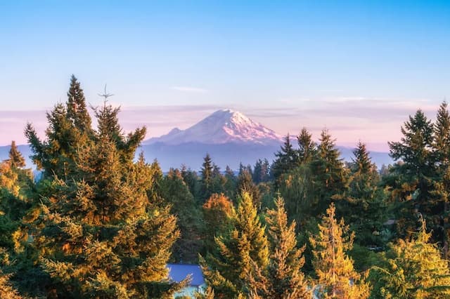 ダブルツリー バイ ヒルトン シアトル エアポート-プレミアム ルーム クイーンベッド 2 台 バルコニー マウンテンビュー-3