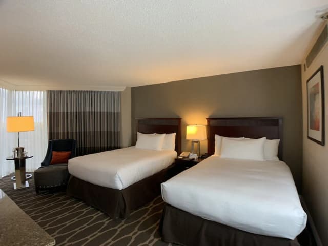 Hilton Houston Westchase-客房, 2 张双人床-2