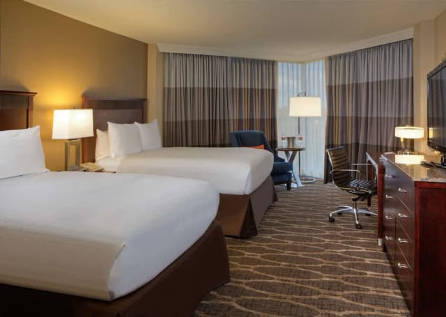 Hilton Houston Westchase-客房, 2 张双人床-4