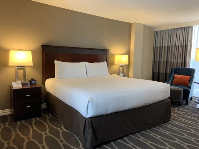 Hilton Houston Westchase-客房, 1 张特大床-3