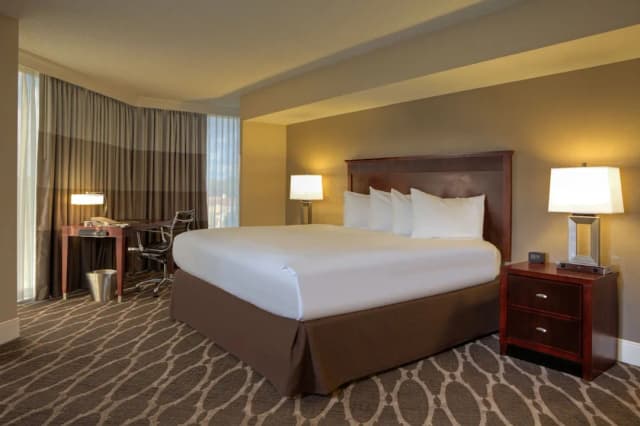 Hilton Houston Westchase-套房, 1 间卧室-2