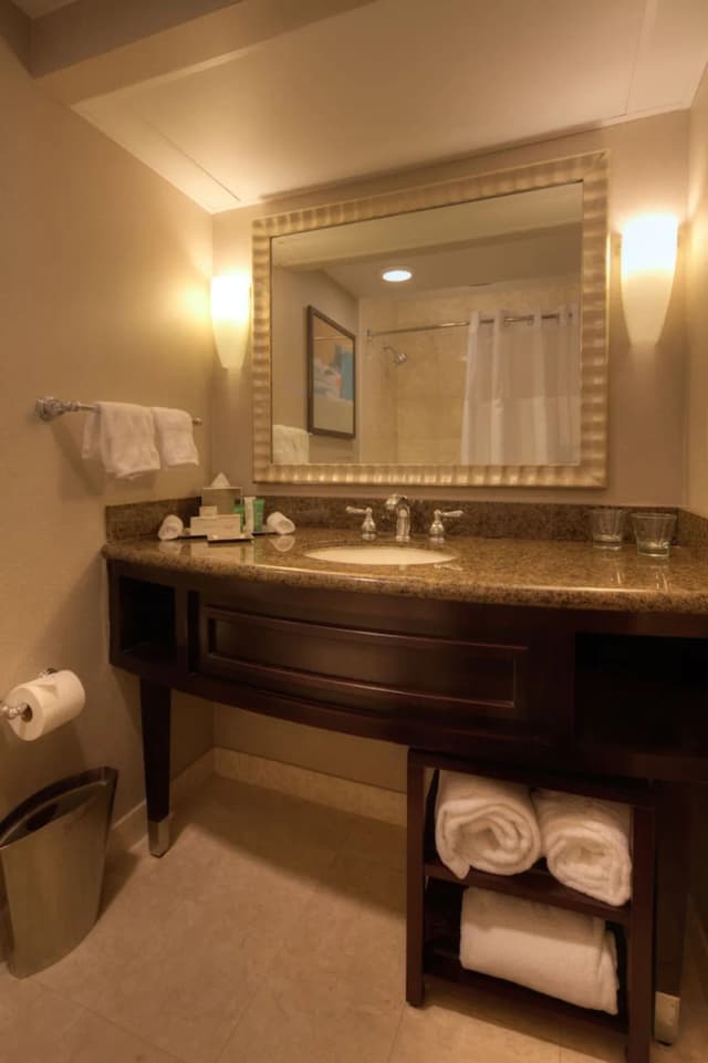 Hilton Houston Westchase-客房, 1 张特大床, 无障碍 (Mobility & Hearing, Bathtub)-4