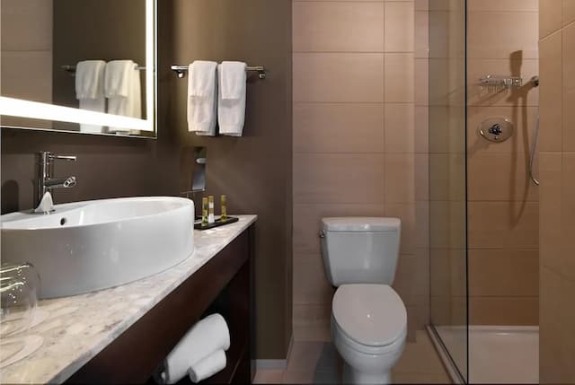 華麗一英里歐洲之星酒店-客房 (King)-3