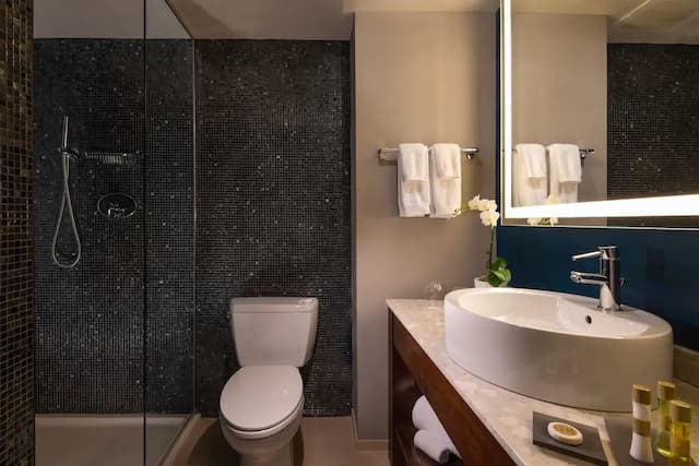 華麗一英里歐洲之星酒店-豪華客房, 1 張特大雙人床-7