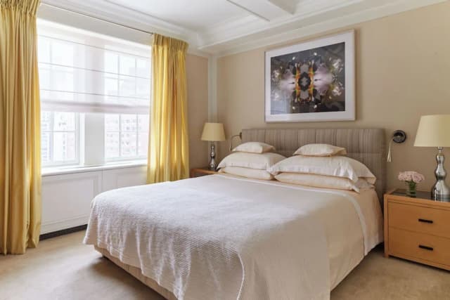 馬克飯店-套房 (Manhattan)-2