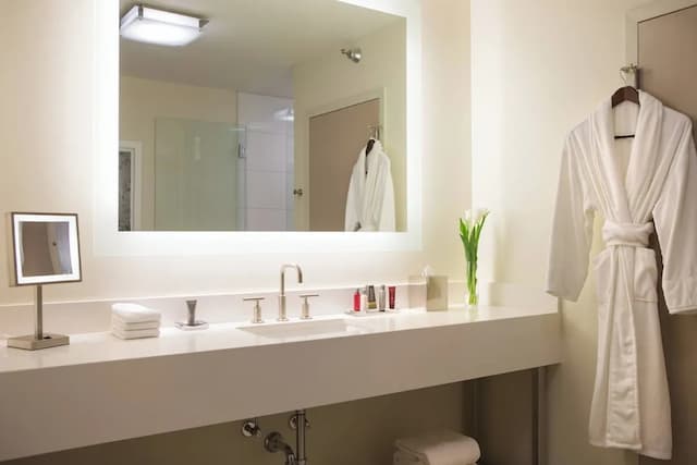 Chicago Marriott Downtown Magnificent Mile-Room, 2 Double Beds, City View (Hearing Accessible)-7