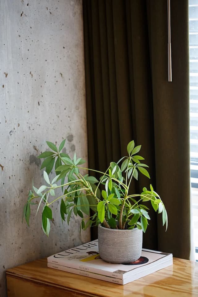 艾蜜莉飯店-豪華客房, 1 張特大雙人床 (Deluxe King)-6