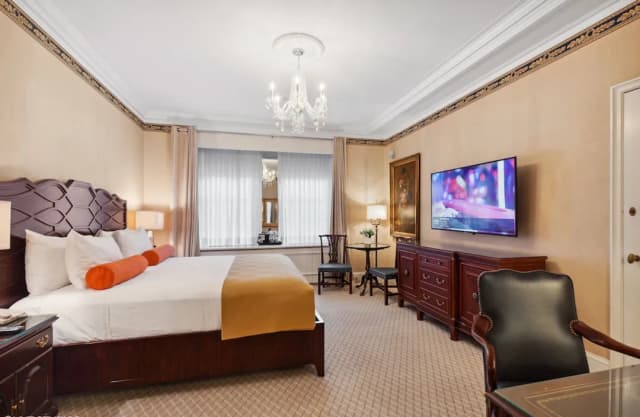 荷蘭雪梨飯店-客房, 1 張特大雙人床 (Interior)-5