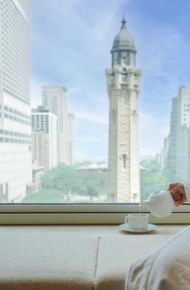 파크 하얏트 시카고-룸, 더블침대 2개 (Water Tower View)-4