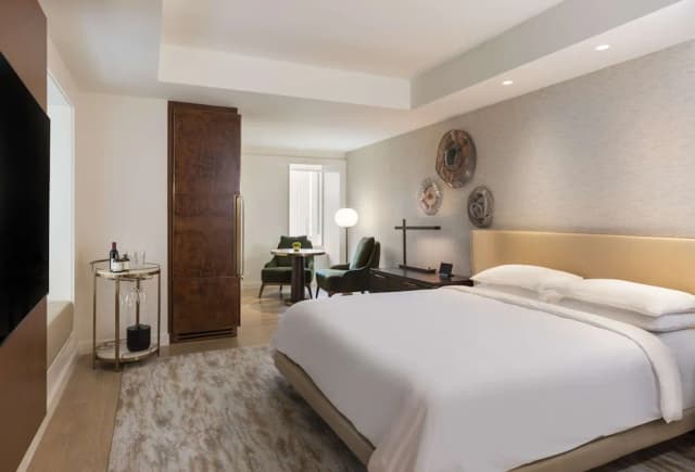 파크 하얏트 시카고-룸, 킹사이즈침대 1개, 장애인 지원 (Shower)-1