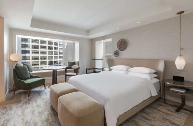 파크 하얏트 시카고-디럭스룸, 킹사이즈침대 1개, 시내 전망-1