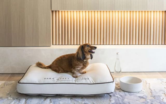 파크 하얏트 시카고-스위트 (Nomi)-6