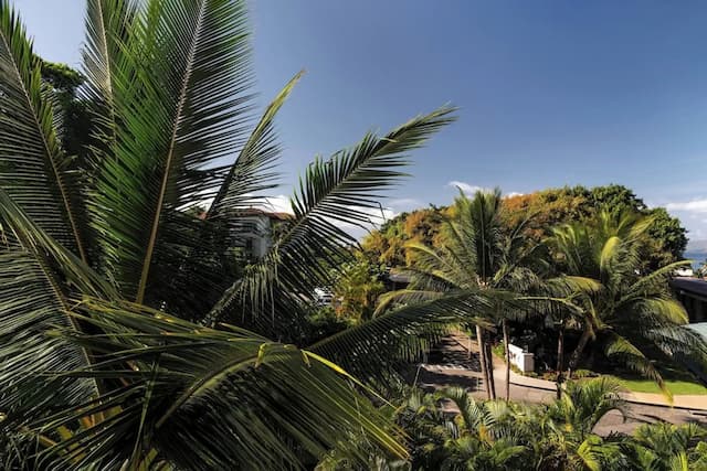 ワイレア・ビーチ・マリオット・リゾート＆スパ-ルーム キングベッド 1 台ソファーベッド付き ガーデンビュー (Balcony)-2