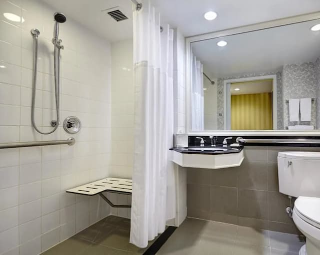New York Hilton Midtown-客房, 2 张双人床 (Roll-in Shower)-3
