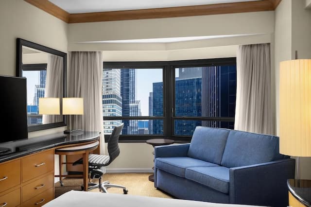 New York Hilton Midtown-客房, 1 张大床-4