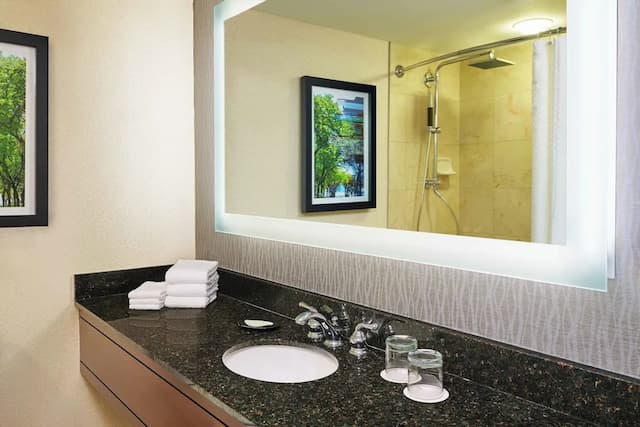 芝加哥密西根大街威斯汀飯店-客房, 2 張標準雙人床, 邊間-3