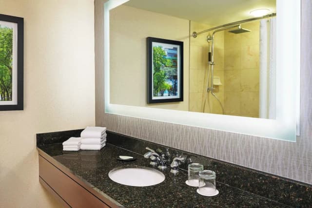 芝加哥密西根大街威斯汀酒店-休閒客房, 2 張標準雙人床-3