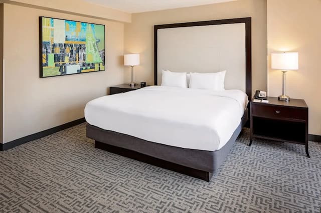 DoubleTree by Hilton Chicago - Magnificent Mile-Room, 1 King Bed with Sofa bed, Corner-2
